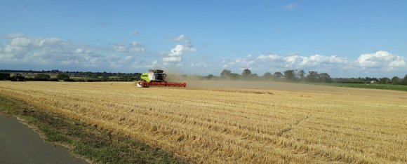 Harvest Time