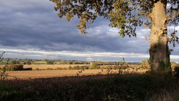 Harvest Time 2