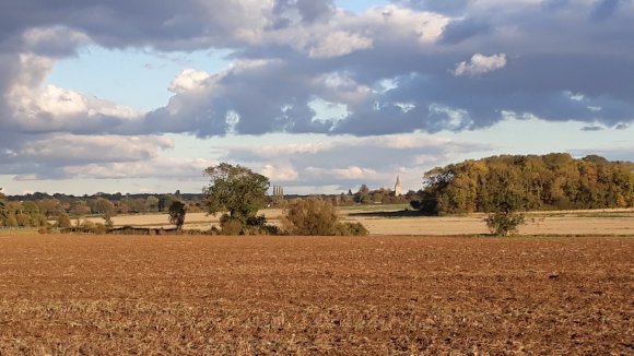 Harvest Time 3