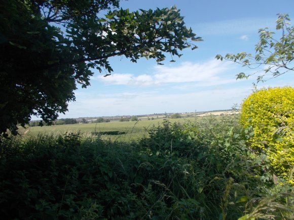 Looking out over the fields