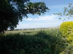 Image: Looking out over the fields