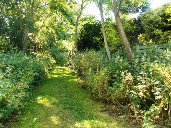 Back Lane to the Church