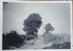 Wotton Rd towards Wootton 1940s